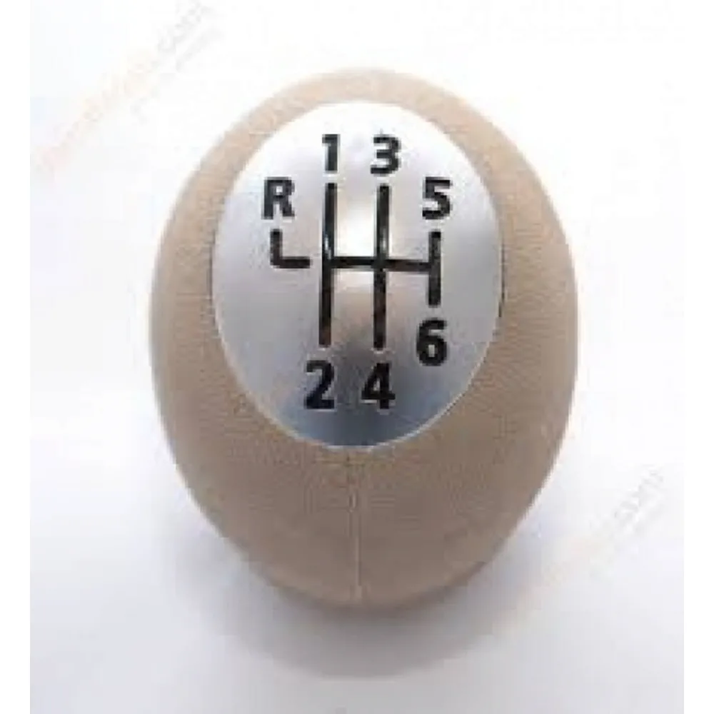 6R067 VİTES TOPUZU MGN III-SCENIC YM. BEJ-KROM