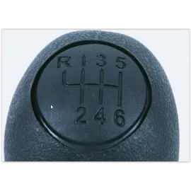 VİTES TOPUZU DUCATO-BOXER-JUMPER 6 İLERİ 2839990