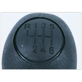 Vites Topuzu Ducato-Boxer-Jumper 6 İleri 2839990