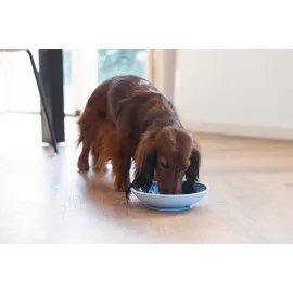 Beeztees Yavru Köpek Mama Yeme Oyuncağı, Silikon, Açık Mavi, 19Cm