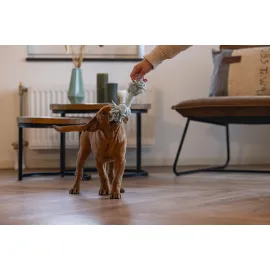 Beeztees Yavru Köpek Oyuncağı, Çift Düğümlü Diş İpi, Peluş, Mavi, 20X6X4,5Cm