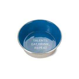 Beeztees Köpek Mama Su Kabı, Paslanmaz Çelik, İçi Mavi, 16Cm, 940Ml