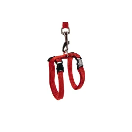 Beeztees Kedi Göğüs Tasması ve Gezdirme Kayışı, 130cm, Kırmızı