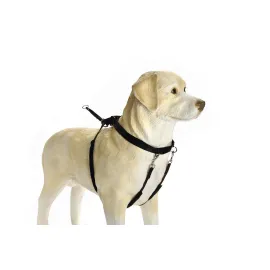 Beeztees Köpek Yürüyüş Eğitim ve Düzeltme Tasması, M