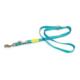 Beeztees Köpek Gezdirme Kayışı, Turkuaz, 200cm, 20mm