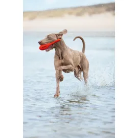 Beeztees Köpek Oyuncağı, Yüzen, Şamandıra, Tpr, Kırmızı, 28X13X8Cm