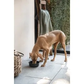 Beeztees Dbl Köpek Mama Su Kabı, Mat Siyah Paslanmaz Çelik, 20Cm, 1,9L