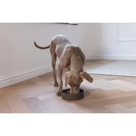 Beeztees Dbl Köpek Yavaş Besleme Mama Kabı, Bambu, Antrasit, 21Cm, 1430Ml