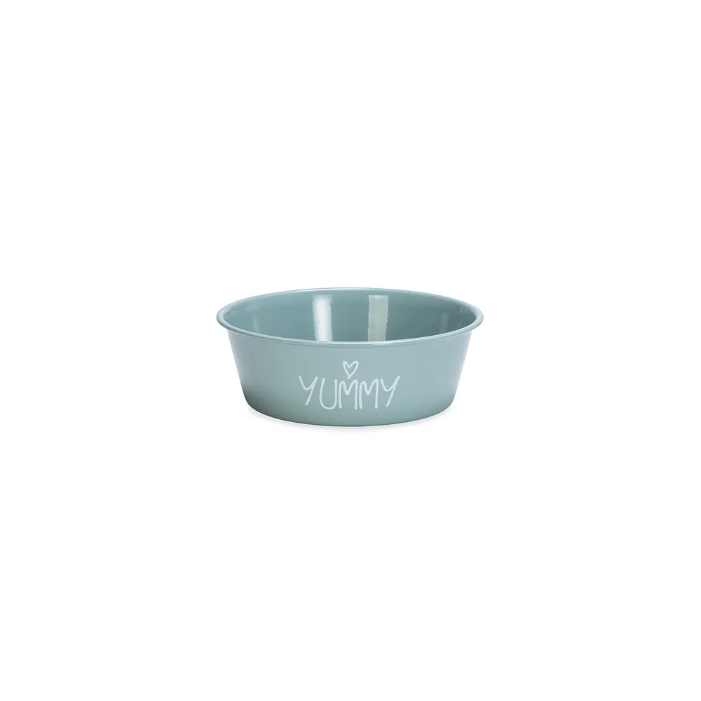 Beeztees Yavru Köpek Mama Su Kabı, Paslanmaz Çelik, Kaymaz Taban, Turkuaz, 13Cm, 470Ml