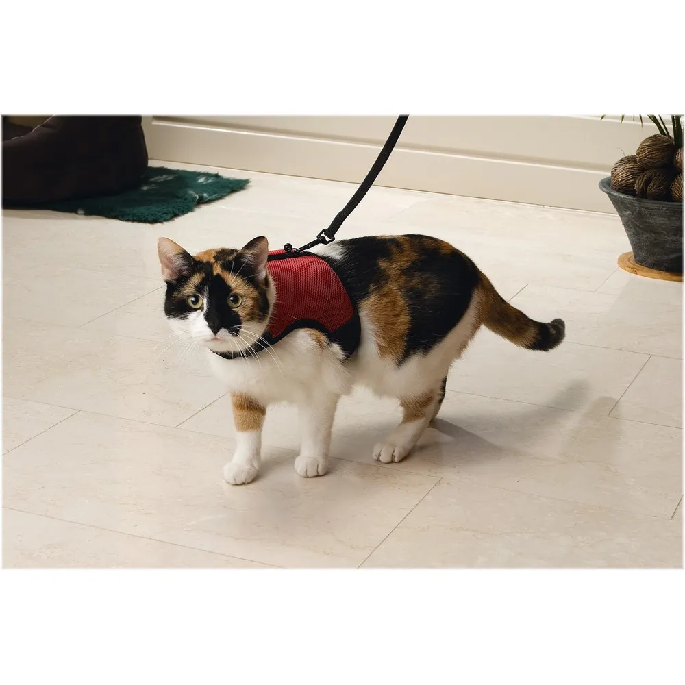 Beeztees Kedi Göğüs Tasması, Comfort, Zili Ve Gezdirme Kayışı, 22-24.5Cm Boyun, 30-39Cm Göğüs
