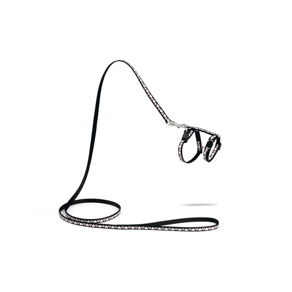 Beeztees Yavru Kedi Göğüs Tasması Ve Gezdirme Kayışı 120Cm, Siyah, 16-25Cm Boyun, 23-36Cm Göğüs