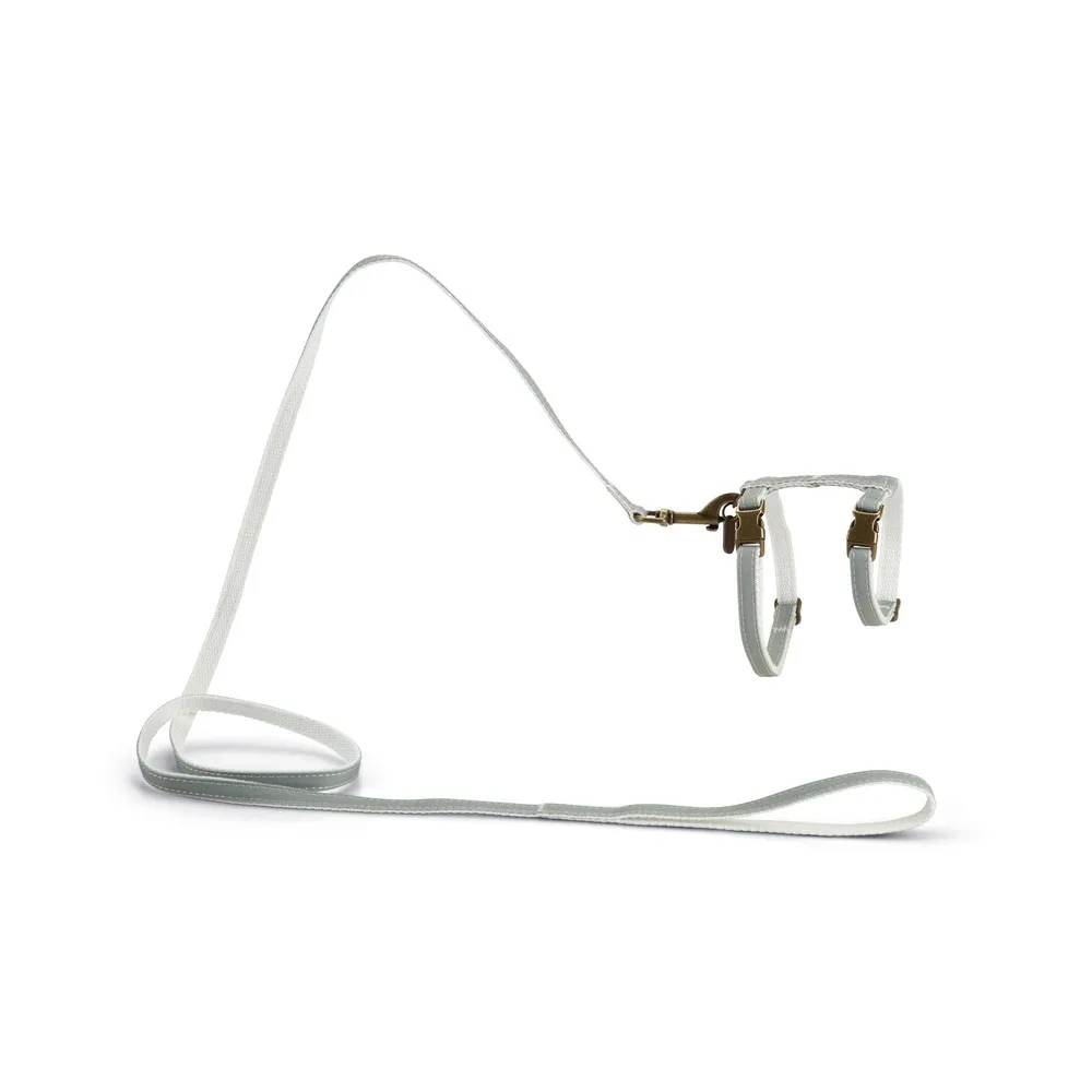 Beeztees Dbl Kedi Göğüs Tasması Ve Gezdirme Kayışı, 130Cm, Mint, 27-45Cm