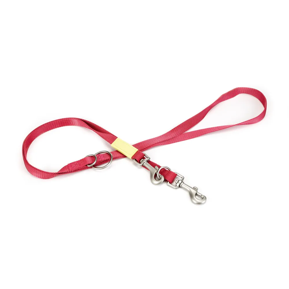 Beeztees Köpek Gezdirme Kayışı, Pembe, 200Cm, 20Mm