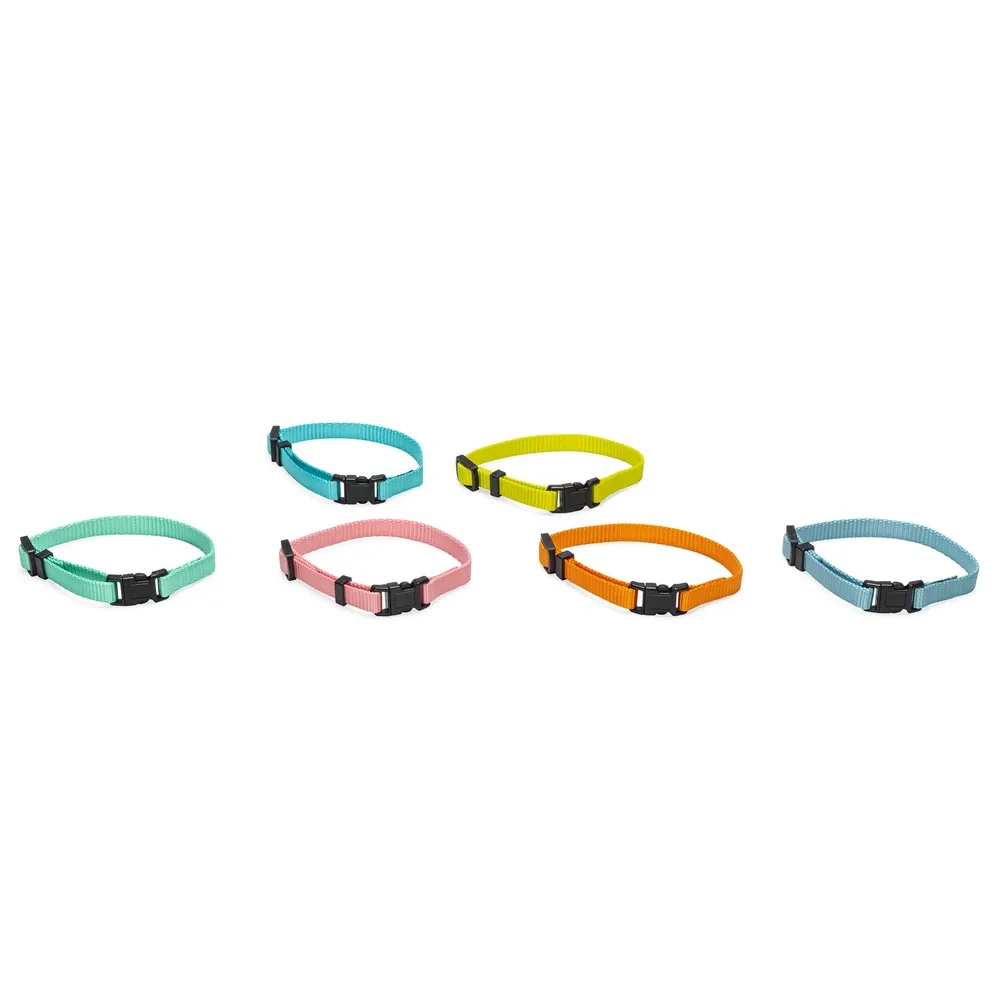 Beeztees Yavru Köpek Boyun Tasması, Çeşitli Renklerde, 17-25Cm, 10Mm