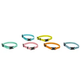 Beeztees Yavru Köpek Boyun Tasması, Çeşitli Renklerde, 17-25Cm, 10Mm