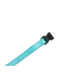 Beeztees Yavru Köpek Boyun Tasması, Çeşitli Renklerde, 17-25Cm, 10Mm