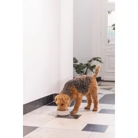 Beeztees Dbl Köpek Mama Su Kabı, Bambu, Bej, 17Cm, 800Ml