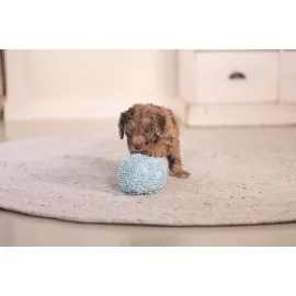 Beeztees Yavru Köpek Oyuncağı, Top, Peluş, Mavi, 10Cm