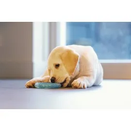 Beeztees Yavru Köpek Oyuncağı, Diş Kaşıma Için Soğutulabilir, Tpr, Mavi, 10X10X2,3Cm