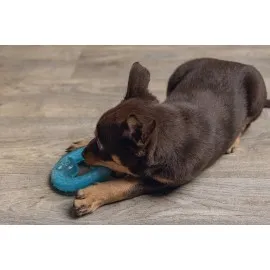 Beeztees Yavru Köpek Oyuncağı, Diş Kaşıma Için Soğutulabilir, Tpr, Mavi, 10X10X2,3Cm