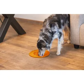 Beeztees Yavru Köpek Mama Yeme Oyuncağı, Daire Şeklinde, Silikon, Turuncu, 30Cm