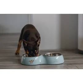 Beeztees Köpek İkili Mama Ve Su Kabı, Paslanmaz Çelik, Turkuaz, 34X17,5Cm, 2X350Ml