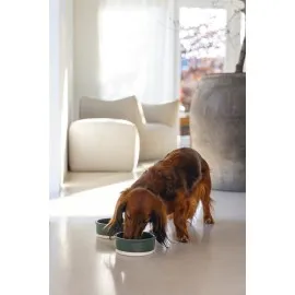 Beeztees Dbl Köpek Mama Su Kabı, Seramik, Mat Yeşil, 13Cm, 160Ml