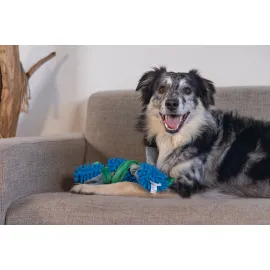 Beeztees Köpek Oyuncağı, Tut Getir, Peluş, Mavi-Yeşil, 37X7X7Cm