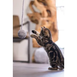 Beeztees Yavru Kedi Oyuncağı, Kuyruklu Yün Top, 6,5cm, 35cm kuyruk