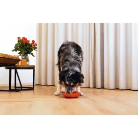 Beeztees Yavru Köpek Mama Yeme Oyuncağı, Silikon, Kırmızı, 19Cm