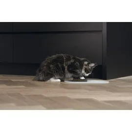 Beeztees Dbl Mama Su Kabı Servisi, Silikon, Kaymaz, Bej, 45X25X1,5Cm