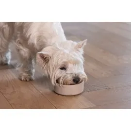 Beeztees Dbl Köpek Mama Su Kabı, Bambu, Bej, 12Cm, 300Ml