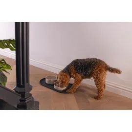 Beeztees Dbl Köpek Mama Su Kabı, Bambu, Bej, 17Cm, 800Ml