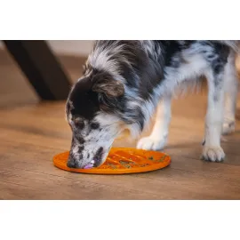 Beeztees Yavru Köpek Mama Yeme Oyuncağı, Daire Şeklinde, Silikon, Turuncu, 30Cm