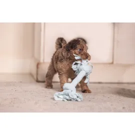 Beeztees Yavru Köpek Oyuncağı, Çift Düğümlü Diş İpi, Peluş, Mavi, 20X6X4,5Cm