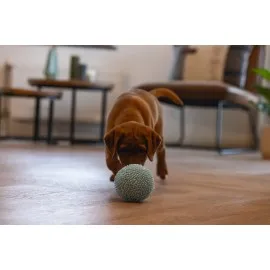 Beeztees Yavru Köpek Oyuncağı, Top, Peluş, Mavi, 10Cm