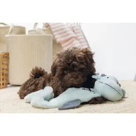 Beeztees Yavru Köpek Oyuncağı, Dragon, Peluş, Gri, 70X16X10Cm