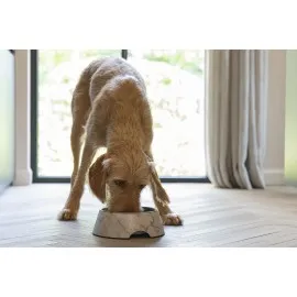 Beeztees Dbl Köpek Mama Su Kabı, Mat Altın Rengi Paslanmaz Çelik, Bej Mermer Görünümlü, 22Cm, 700Ml