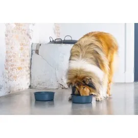 Beeztees Dbl Köpek Mama Su Kabı, Mat Siyah Paslanmaz Çelik, 20Cm, 1,9L