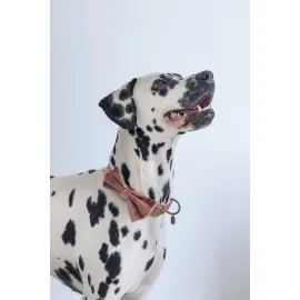 Beeztees Dbl Köpek Papyonu, Kadife, Pembe, 12Cm