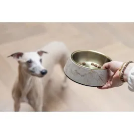 Beeztees Dbl Köpek Mama Su Kabı, Mat Altın Rengi Paslanmaz Çelik, Bej Mermer Görünümlü, 17,5Cm, 350M