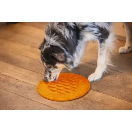 Beeztees Yavru Köpek Mama Yeme Oyuncağı, Daire Şeklinde, Silikon, Turuncu, 30Cm