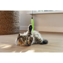 Beeztees Kedi Oltası, Zilli, Peluş Oyuncaklı, Çeşitli Renklerde,