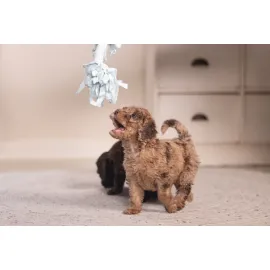 Beeztees Yavru Köpek Oyuncağı, Çift Düğümlü Diş İpi, Peluş, Mavi, 20X6X4,5Cm