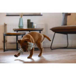 Beeztees Yavru Köpek Oyuncağı, Çift Düğümlü Diş İpi, Peluş, Mavi, 20X6X4,5Cm