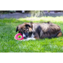Beeztees Köpek Oyuncağı, Donut, Peluş, Çeşitli Renklerde, 12X12X5Cm
