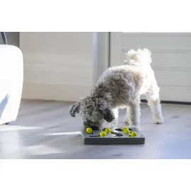 Beeztees Köpek Zeka Geliştirme Oyuncağı, 28X28X4,5Cm