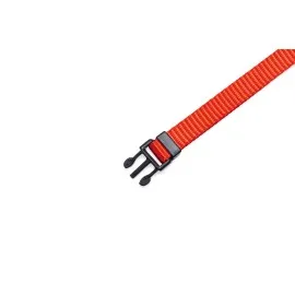 Beeztees Yavru Köpek Boyun Tasması, Çeşitli Renklerde, 22-35Cm, 10Mm