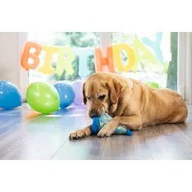 Beeztees Köpek Oyuncağı, Şapka, Peluş, Mavi, 22X14X14Cm