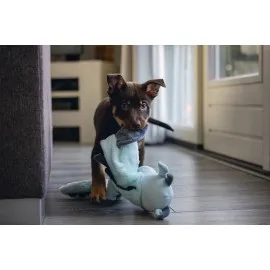 Beeztees Yavru Köpek Oyuncağı, Dragon, Peluş, Gri, 70X16X10Cm